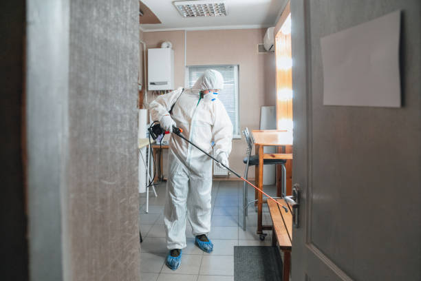 Mold Remediation for Vacation Homes in Southern Shores, NC